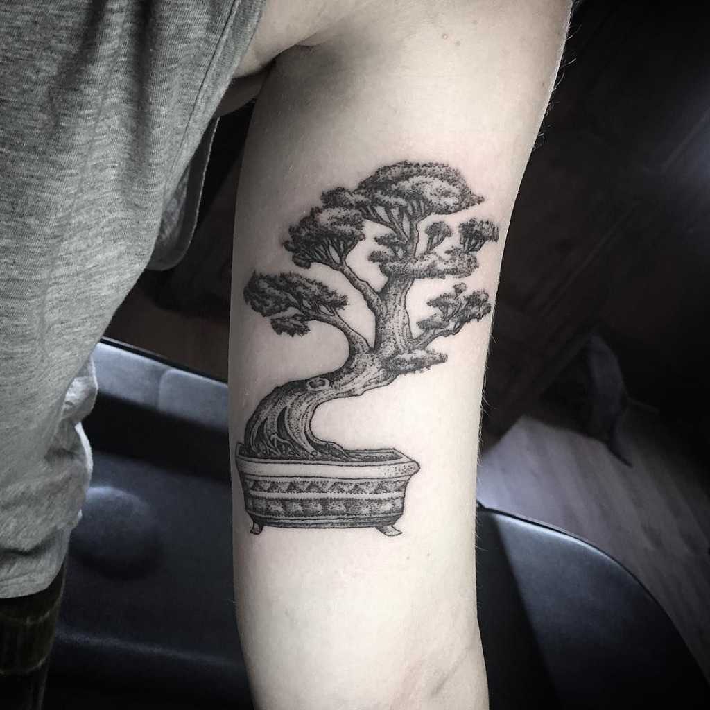 Bonsai tree tattoo on arm 