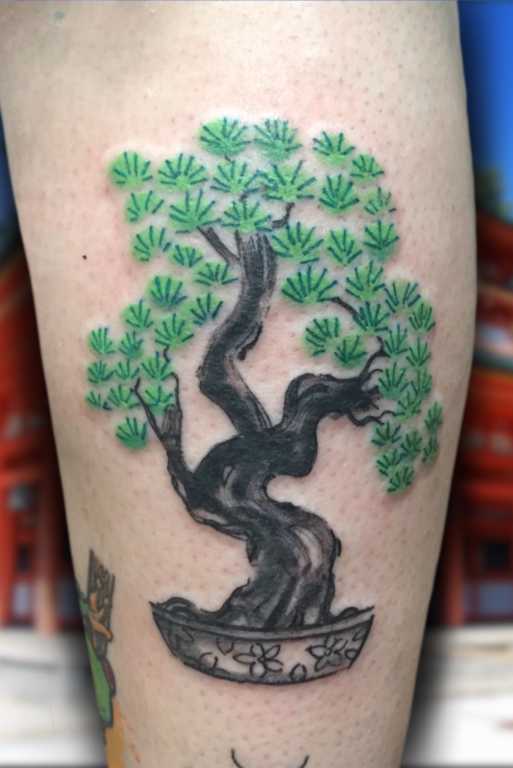 bonsai tree tattoo 