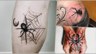 Spider Web Tattoo Meaning Explained