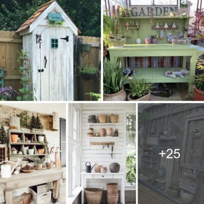 25 Inѕрiring Conсeрts for Outdoor Storаge