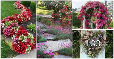 33 Flower-Styled Gаrden Deсorations To Enсhant Your Outdoorѕ