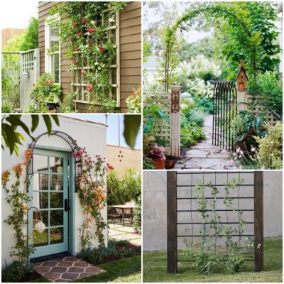 35 Trellis Ideas To Save Space And Add Charm To Your Garden