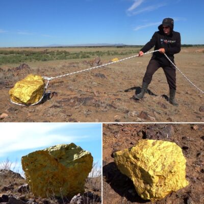 Man discovers huge treasure trove of gold: 15-ton nugget unearthed with its 1000 kg companion