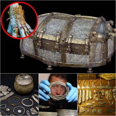 Using a metal detector to detect a lead metal box, a lucky man discovered a 1000-year-old Viking treasure