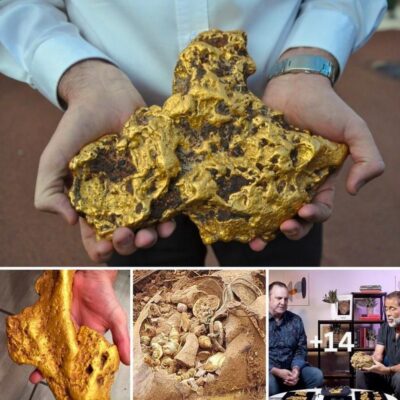 Treasure of the century: A man driving a bulldozer luckily discovered a giant 21-pound gold nugget as big as a child’s head. 100 years later ‘Rush’ is for sale for $1 million