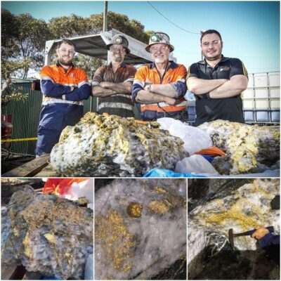 The largest giant nugget in history weighing 90kg, worth 2 million pounds was discovered at a depth of about 500m underground at the Beta Hunt gold mine near Kambalda