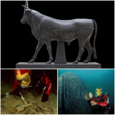 After more than 1,000 years submerged in the sea, the Egyptian cow god Apis dating back to the time of the Roman emperor and countless other gods in the lost treasure of ancient Egypt have become known to the whole world.