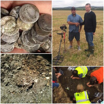 A lucky once-in-a-lifetime amateur has found a treasure trove of rare gold coins in a farmer’s field in Bridport Romans dating back 2,000 years to ancient Rome.