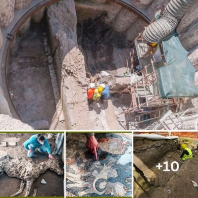 Surprising Rome metro discovery reveals ‘Pompeii-like scene’ as archaeologists discover ruins of a 3rd century building and the 1,800-year-old remains of a DOG