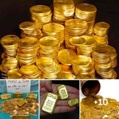 The man who “won the lottery” suddenly found thousands of gold coins and gold bars weighing a total of 220 pounds, worth 3 million pounds hidden under furniture, in whiskey bottles, under piles of linen and in the bathroom the house he inherited