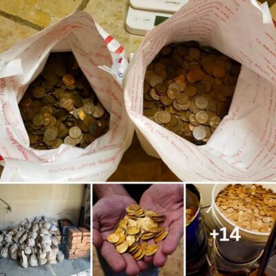 Walking their dog, they accidentally discovered sparkling gold under a tree: The couple discovered a huge treasure worth $10 million, including extremely rare gold coins that had been forgotten for more than a century.
