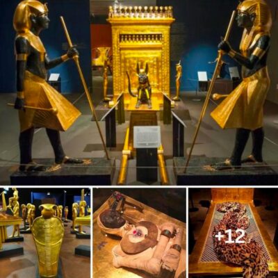 Travel back in time to ancient Egypt’s 18th dynasty (circa 1543–1292) and see King Tutankhamun and the pharaoh’s sacred treasures