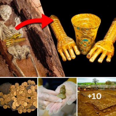 Priceless remaining artifacts: Roman golden gloves and golden cremation urns and more than 300 Roman coins discovered at the Roman settlement 400 BC