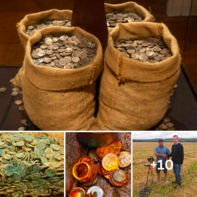 “Discovering the unimaginable”: The lucky man of a lifetime found a treasure trove of rare gold coins worth up to 200,000 in a farmer’s field dating back 2,000 years ago