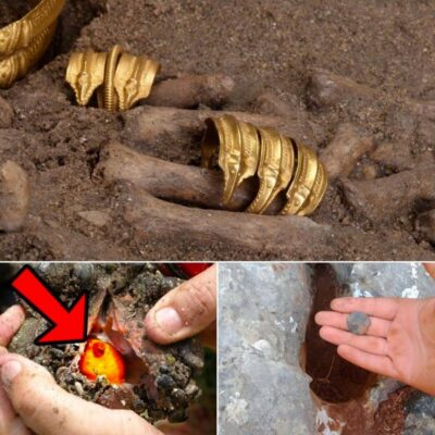 Baffling Discoveries Unearthed by Treasure Hunters