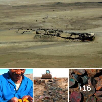 Lucky miner accidentally finds 500-year-old shipwreck filled with £9 million worth of gold and coins in the Namibian desert