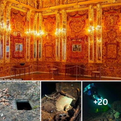 Discovery that shocked the archaeological industry: Treasure hunters found the tunnel leading to the legendary Amber Room worth £250m after uncovering a secret tunnel network beneath the former army headquarters .