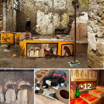 ‘We know what they ate that day’: Archaeologists excavating famous ancient ‘salad bar’ in Pompeii show that goats, pigs, fish and snails were all on the menu of ancient Romans in 79 AD