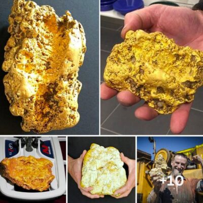 “Oh my God”! Retired prospector finds a giant 3.2kg gold nugget dubbed ‘The Propeller’ worth $110,000 after years of combing the same field with a metal detector