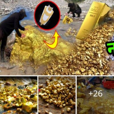 Revealing The shocking discovery of Roman times: Discovery of the “golden treasure”: 18.5 kg of Roman gold and 2,500 brilliant pieces