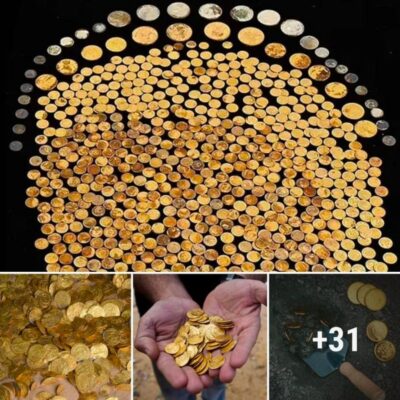 Lucky man discovers treasure of 700 rare coins dating back 1,300 years at a corn farm worth $1.8 million This is the craziest thing ever.